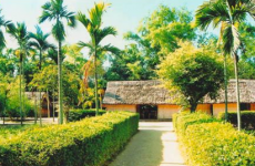 làng sen cửa lò